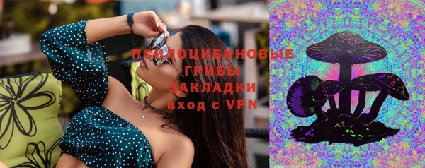 СК Бородино
