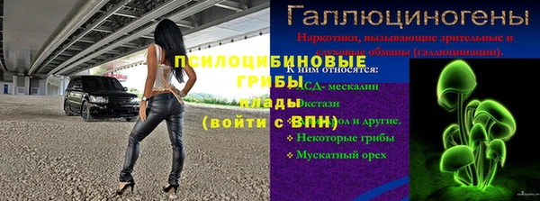 СК Бородино
