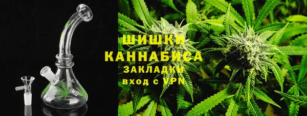 СК Бородино