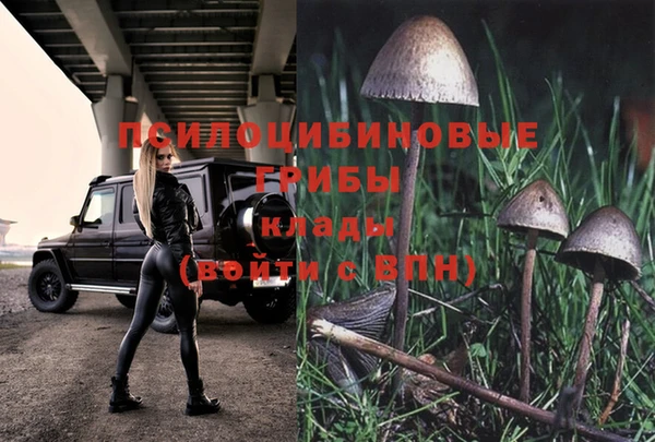 эйфоретик Покачи