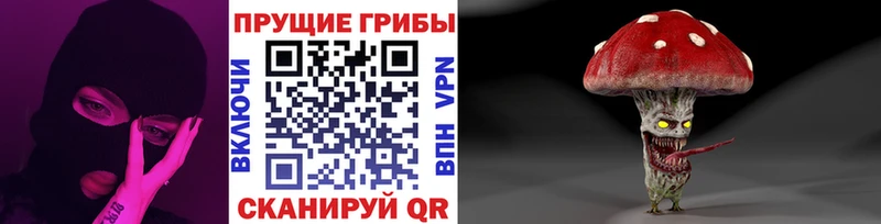 где найти наркотики  Сосногорск  Галлюциногенные грибы Psilocybe 